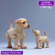 4.jpg Labrador retriever realistic dog articulated flexi toy (STL & 3MF)
