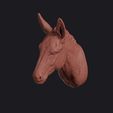 donkey_0015.jpg Donkey Head