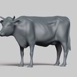 R02.jpg cow pose 02