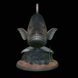 Dentex-statue-1-5.png fish Common dentex / dentex dentex statue underwater detailed texture for 3d printing