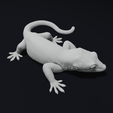 34.png Gargoyle Gecko Pet Reptile