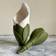 Foto-Etsy4.jpg Tulip | 3D napkin holder | Digital Files | 3D flower | 3D digital file | 3D stl file | 3D model STL | napkin | 3D bouquet