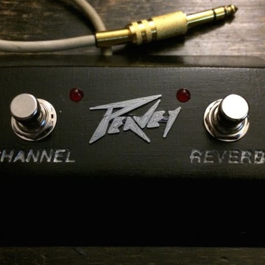 Two Switch Amplifier Footswitch 3D model