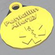 keychain-allergy.jpg penicillin allergy keychain,penicillin allergy, indicator, warning, sticker, label