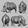 A0006.jpg Rhinoceros