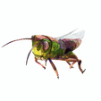 vc.png DOWNLOAD Grasshopper 3D MODEL - ANIMATED - INSECT Raptor Linheraptor MICRO BEE FLYING - POKÉMON - DRAGON - Grasshopper - OBJ - FBX - 3D PRINTING - 3D PROJECT - GAME READY-3DSMAX-C4D-MAYA-BLENDER-UNITY-UNREAL - DINOSAUR -