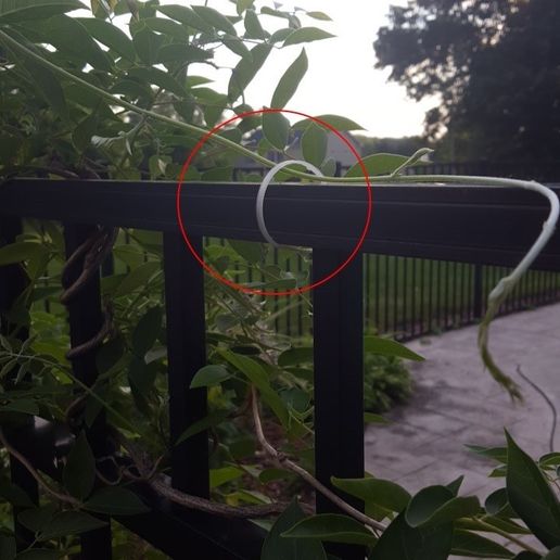 plant_tie_2.jpg Plant Tie