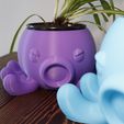 20240229161454__MG_0422.jpg Octopus Planter Pot • Cute Home Decor