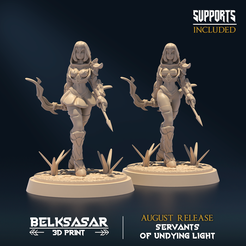 N001.png Fichier STL Undying Light Sentinel D Nude et Normal・Plan imprimable en 3D à télécharger
