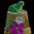 Frog-house.png Frog House
