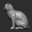 scottish-fold-cat-3d-model-a391f1328c.jpg Scottish fold cat 3D print model