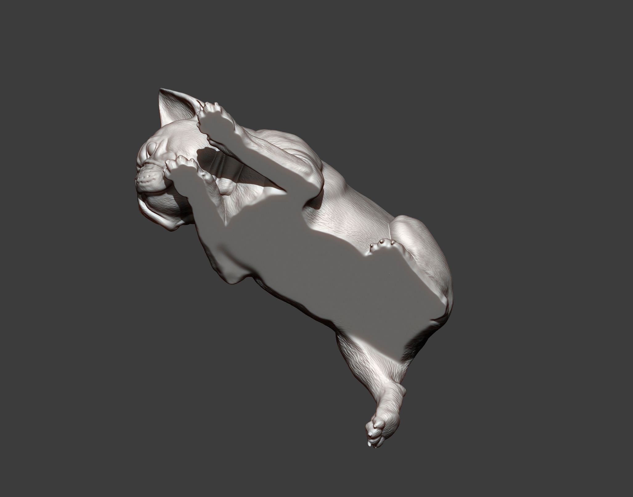 French-Bulldog10.jpg Archivo 3D Modelo de impresión en 3D de un Bulldog Francés・Objeto imprimible en 3D para descargar, akuzmenko