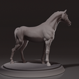 Preview3.png Horse