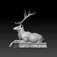 ddd3.jpg Deer statue - deer decorative - deer decoration
