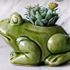 Frog.jpeg Toad pot