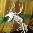 Capture d’écran 2017-03-28 à 15.08.49.png Unknown Creatures N° 1 - Wendigo Skeleton