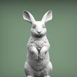 rabbit2.jpg Rabbit 3D print model