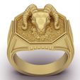 keyshot-jewelry-scene-setup-set-3.9280.jpg 羊圈