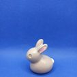 1615918030542.jpg Small rabbit - Petit Lapin