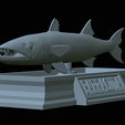 Barracuda-mouth-statue-25.png fish great barracuda / Sphyraena barracuda open mouth statue detailed texture for 3d printing