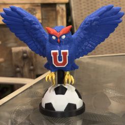 Chuncho Universidad de Chile