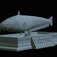 Catfish-statue-22.png fish wels catfish / Silurus glanis statue detailed texture for 3d printing