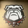 IMG_5292.jpeg UGA Dawgs 3D logo AXM
