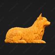 702-Australian_Terrier_Pose_07.jpg Australian Terrier Dog 3D Print Model Pose 07
