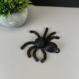IMG_3802.jpg Flexi Spider (Articulated)