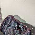 COLECCIÓN BEARD SKULL - Nº1