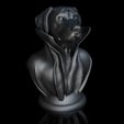 ShopA.jpg Rhodesian Ridgeback -with collar cape on pedestal