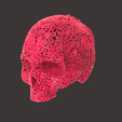 1.png VORONAI SKULL MODEL