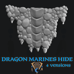 Square_Hide.png STL-Datei DRAGON MARINE HIDES・Design für 3D-Drucker zum herunterladen