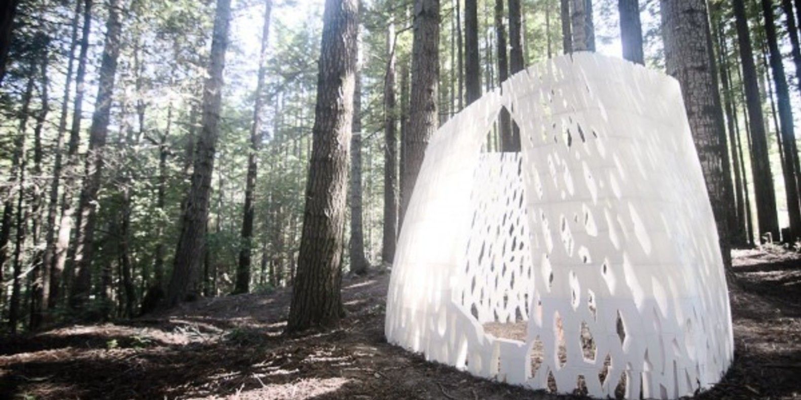echoviren 3D architectural masterpiece oeuvre redwood forest mendocino county sequoias cults cults3D fichier 3D impression 3D 3D printing 1