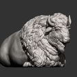 bison7-—-копия.jpg Bison 3D-Druckmodell