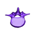 VertebralColumn4.stl Skeleton vertebral column torso bones (90 bones)