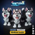 Siberian-Husky-DSC_0003_Layer-0.jpg Flexy Siberian Husky With Snap Fit Head