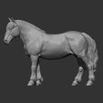 Percheron10.jpg Caballo percherón Modelo de impresión 3D