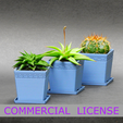 cm1.png COMMERCIAL USE-SUCCULENT VASE COLLECTION SOO3
