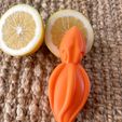 IMG_6272-conv.jpeg Free STL file Squid Citrus Juicer・Template to download and 3D print
