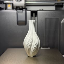Sprout Vase 3D Modell, STL für 3D-Druck im Vasenmodus | Slimprint