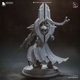 Artanis_grey-4.jpg Artanis | 321毫米