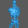 25-pic-3.png Terminator Robot V1