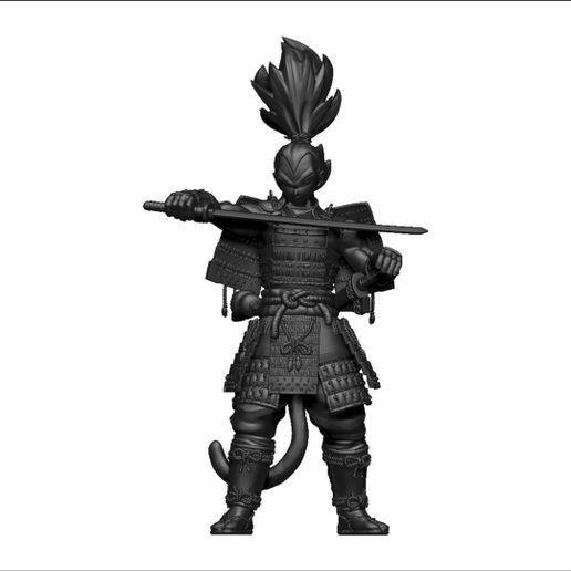 General Vegeta Samurai