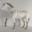 IMG_20190915_173459.jpg Archivo STL Caballo BJD・Objeto imprimible en 3D para descargar
