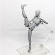006.jpg Lady Figure the 3D printed female action figure