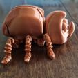 FLEXI BEETLE