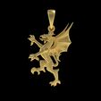 19.jpg 00039 Dragon Small Charm Pendant