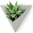 41hhbeJZNmL._AC_.jpg Triangular wall succulent planter