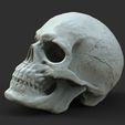 Screenshot_1.jpg Male Skull